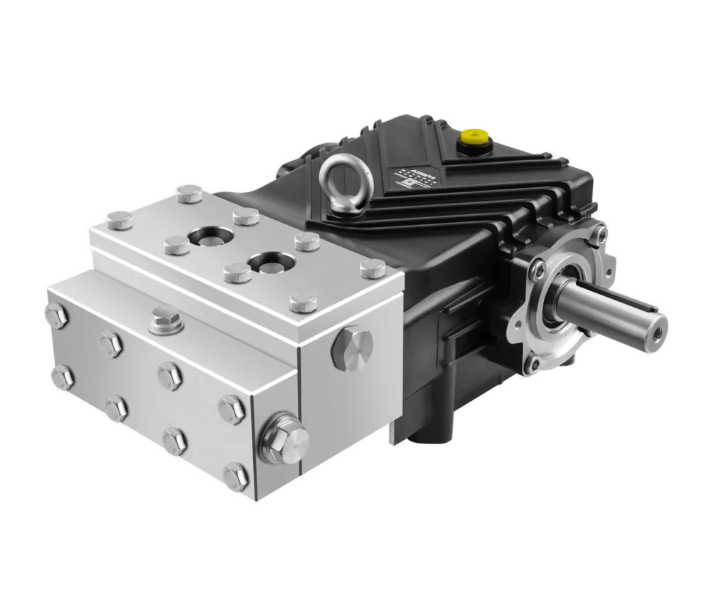 Fussen FDK stainless steel plunger pump