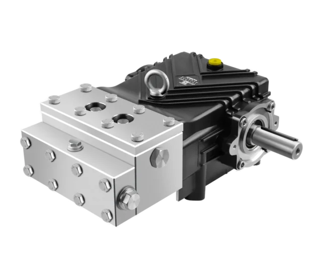 Fussen FDK stainless steel plunger pump